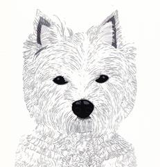 West Highland Terrier - Roam Cards